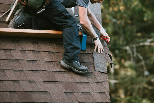 Best Roof Gutter Cleaning  in Logan, WV